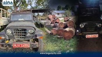 बाराको कोल्हबीमा नक्कली नम्बर प्लेट राखेर तस्करी गर्न लागिएको काठ बरामद, चालक पक्राउ