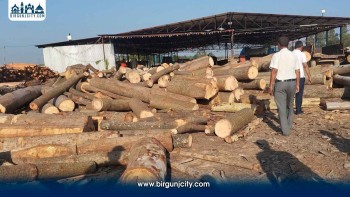 धनुषाको भेनियर उद्योगमा लुकाएर राखिएको ६७५ क्युफिट काठ बरामद