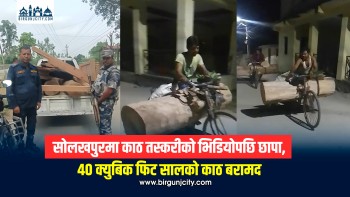 सोलखपुरमा काठ तस्करीको भिडियोपछि छापा, ४० क्युबिक फिट सालको काठ बरामद