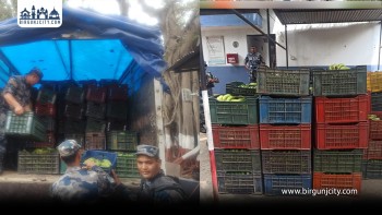 वीरगंज ४६ लाख ४९ हजारको अवैध केरासहित ट्रक बरामद