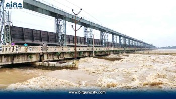 कोशी ब्यारेजबाट नदीमा हाम फालेका दुई भारतीय नागरिकको सकुशल उद्धार