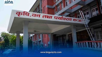 किसानलाई राहत दिन न्यूनतम समर्थन मूल्यमा धान खरिद गर्दै सरकार