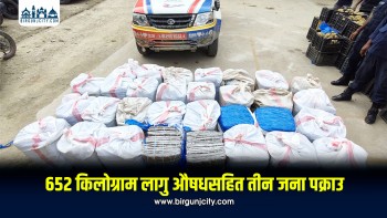 लहानबाट ६५२ किलो गाँजासहित तीन जना पक्राउ