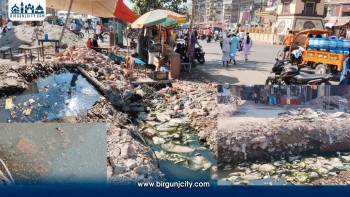 वीरगंजका नालामा फोहोर पानी जम्दा लामखुट्टेको प्रकोप बढ्ने चिन्ता, डेंगुको जोखिम