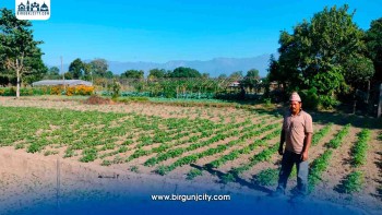 मधेसका किसानलाई झन्डै ९ अर्ब रुपैयाँ सहुलियत कर्जा