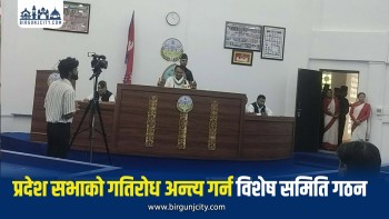 बजेट विवाद समाधानका लागि मधेश प्रदेश सभामा विशेष संसदीय कार्यदल गठन