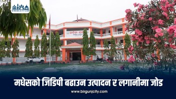 मधेसको जिडिपी बढाउन उत्पादन र लगानीमा जोड, चालु वर्षमै लगानी सम्मेलन गर्ने सरकारको तयारी