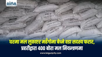 वडा सदस्यको घरबाट करिब ४०० बोरा डिएपी मल बरामद, स्रोत खुल्न सकेन