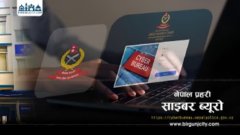 एक वर्षमा मधेश प्रदेशमा सबैभन्दा बढी ९३६ जना साइबर ठगीको सिकार