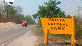 पर्सा राष्ट्रिय निकुञ्जमा पर्यटकको आकर्षण बढ्दो