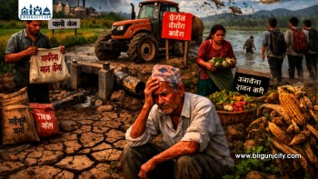 चुनावमा मात्रै किसान सम्झिने नेताहरू, समस्या उस्तै