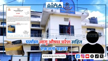 पर्सामा लागु औषध चरेश सहित एकजना पक्राउ