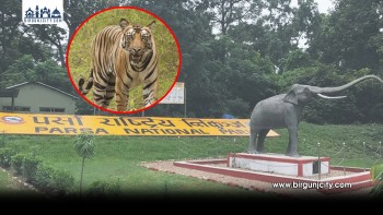 चितवन–पर्सा कम्प्लेक्समा आजदेखि राष्ट्रिय बाघ गणना, एक हजारभन्दा बढी जनशक्ति परिचालन