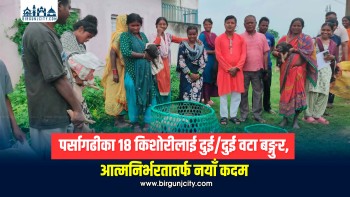 पर्सागढीका १८ किशोरीलाई बङ्गुर वितरण, आत्मनिर्भरता र शिक्षामा निरन्तरताको अपेक्षा
