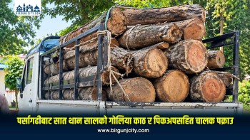पर्सागढीबाट सात थान सालको गोलिया काठ र पिकअपसहित चालक पक्राउ