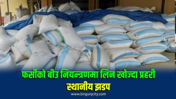 फर्सीको बीउ नियन्त्रणमा लिन खोज्दा प्रहरी–स्थानीय झडप, ६ राउण्ड अश्रुग्यास प्रहार