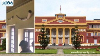 राष्ट्रपति कार्यालयबाट चोरिए हात्तीका दाह्रा