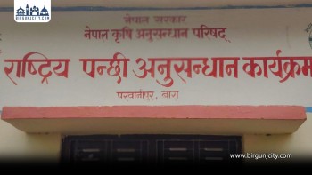 बाराको राष्ट्रिय पन्छी अनुसन्धान केन्द्रमा बर्डफ्लु, रु ५० लाख बराबरको क्षति