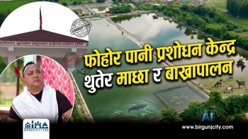 फोहोर पानी प्रशोधन केन्द्र थुतेर माछा र बाख्रापालन गराइरहेकाे विषयमा अख्तियारले वीरगंज महानगरका मेयर सहित ८ जनालाई ब्यानका लागी बाेलायाे (भिडियो सहित)