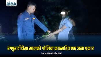 रंगपुर टाँडीमा सालको गोलिया काठसहित एक जना पक्राउ