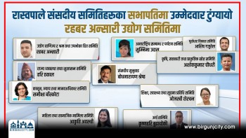 रास्वपाले संसदीय समितिहरूका सभापतिमा उम्मेदवार टुंग्यायो, रहबर अन्सारी उद्योग समितिमा (भिडियो रिपोर्ट)