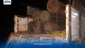 रातको अँध्यारोमा लालबकैया खोलाबाट काठ तस्करीको प्रयास, २७ क्युबिक फिट साल बरामद