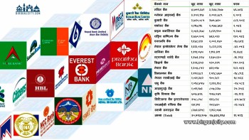वाणिज्य बैंकहरूको नाफा ११.५१ प्रतिशतले वृद्धि