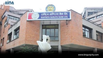 राष्ट्रिय वाणिज्य बैंकमा ६० लाखको फर्जी ऋण प्रकरण, कर्मचारीको मिलेमतो