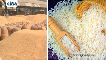 ६ महिनामा साढे २० अर्ब बराबरको धान–चामल आयात