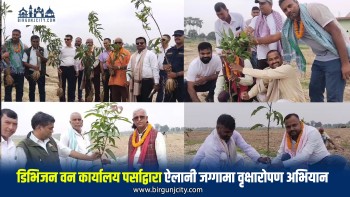 पर्सामा ऐलानी पर्ती जग्गामा फेन्सिङसहित वृक्षारोपण, हरियाली विस्तार अभियानलाई प्राथमिकता