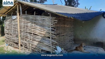 सप्तरीको सीमावर्ती प्रहरी चौकी आफैँ असुरक्षित, टिनको टहरामा बसेर प्रहरी गर्दैछन् सीमा सुरक्षा