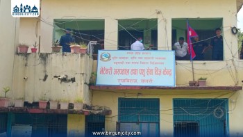 भेटेरिनरी अस्पताल राजविराजका निमित्त प्रमुखसहित दुई कर्मचारी घुससहित पक्राउ