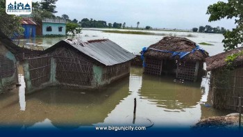 सप्तकोशीको बाढीले सप्तरीमा पाँच सय परिवार विस्थापित