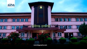 यातायात हडतालविरुद्ध सर्वोच्चमा रिट, मौलिक हक हननको दाबी