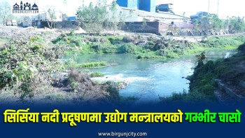 सिर्सिया नदी प्रदूषणबारे उद्योग मन्त्रालयको चेतावनी