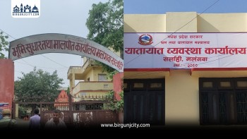 मालपोत र यातायात कार्यालयबाट ९ जना बिचौलिया पक्राउ