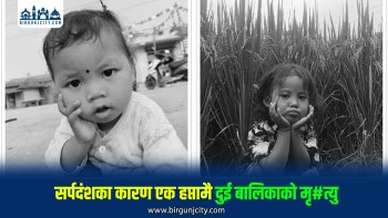 सर्पदंशबाट एक साताभित्र दुई बालिकाको मृ#त्यु, स्थानीय त्रसित