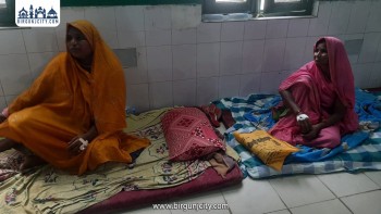 गर्मी र वर्षासँगै राजविराजमा सर्पदंशका बिरामी बढे, एकै दिन ५ जना अस्पताल भर्ना