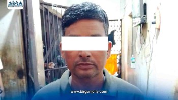 सिरहामा ठूलो परिमाणमा गाँजा बरामद, एक जना पक्राउ