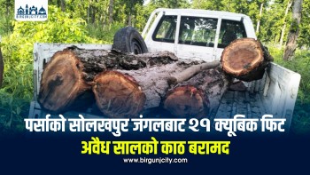 पर्साको सोलखपुर जंगलबाट २१ क्यूबिक फिट अवैध सालको काठ बरामद