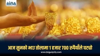 आज सुनको भाउ तोलामा १ हजार ७०० रुपैयाँले घट्यो
