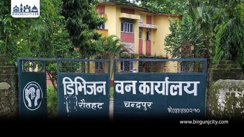 तीन हजार १९० हेक्टर वन क्षेत्र अतिक्रमण