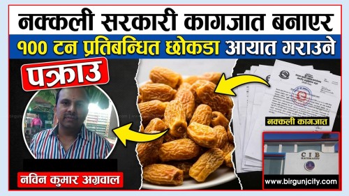 नक्कली सरकारी कागजात बनाएर १०० टन प्रतिबन्धित छोकडा आयात गराउने वीरगंजका व्यवसायी नविन कुमार अग्रवाल पक्राउ, सुन तस्करले भरिका रूपमा अग्रवाललाई प्रयाेग गरेकाे स्राेतकाे दाबी (भिडियो रिपोर्ट)
