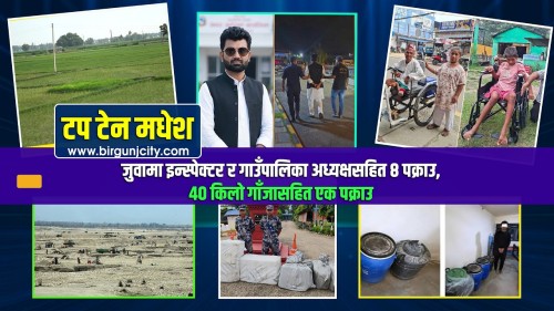 जुवाको आरोपमा इन्स्पेक्टर र गाउँपालिका अध्यक्षसहित ८ पक्राउदेखि ४० किलो गाँजासहित एक पक्राउसम्म