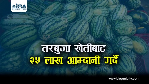 विदेशबाट फर्किएका युवा रामध्यान मण्डलको तरबुजा खेतीमा सफलता २५ लाख आम्दानी गर्दै (भिडियो रिपोर्ट)