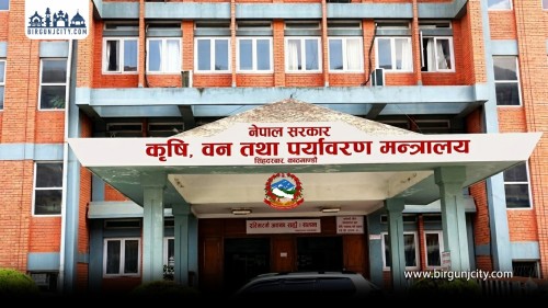 अनुदानमा उपलब्ध रासायनिक मलमा कालोबजारी गर्नेलाई कडा कारबाही गरिने