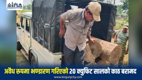 अवैध रूपमा भण्डारण गरिएको २० क्युफिट सालको काठ बरामद