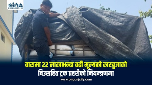 बारामा करिब २३ लाख रुपैयाँ बराबरको खरबुजाको बिउसहित ट्रक नियन्त्रणमा