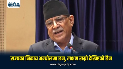 राजनीति, कर्मचारीतन्त्र र राज्यका निकाय अन्योलमा छन् : प्रचण्ड