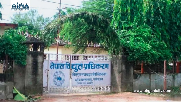 हावाहुरी, चट्याङ र आगलागीको जोखिम बढेपछि विद्युत प्राधिकरणको सतर्कता अपील